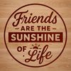 Inspiring Friendship Quotes Collection A collection of inspirational quotes about friendship, perfect for personal or commercial use, in a clean vector format.