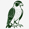 Falcon Bird Illustration in Vector Format A detailed illustration of a falcon bird in vector format.
