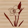Free Daffodil Clip Art for Designers A simple illustration of a daffodil flower in bloom, suitable for clip art or design projects.