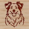 Herding Dog Breed Portrait A vector illustration of a Australian Shepherd dog's head.