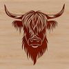 Detailed Vector Art of a Scottish Highland Cow A detailed illustration of a Highland Cow's head with distinctive horns, suitable for vector designs.