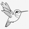 Free Vector Hummingbird Clip Art Hummingbird illustration in vector format