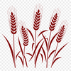 Illustrative vector graphic of a single stalk of wheat with detailed texture and silhouette.