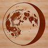 An SVG representation of a crescent-shaped moon with intricate details.