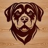Medium Breed Dog Portrait Close-up profile illustration of a medium-sized Rottweiler breed dog.