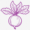 An SVG graphic of a radish in vector format.