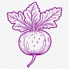 Radish Root Vegetable SVG Illustration A high-quality SVG illustration of a radish root vegetable.