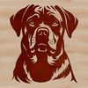 Vector Dog Head Graphic Design Close-up illustration of a Rottweiler's head, suitable for vector design projects.