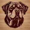 A vector graphic representation of a Rottweiler dog breed, showcasing its distinctive facial structure.