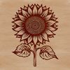 Large Floral Design Vector Art Illustrative sunflower with large petals and tall stem in a botanical style.