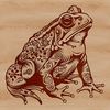 Intricate Toad Illustration Illustrated SVG image of a toad in intricate design.