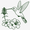 Intricate Hummingbird Illustration An illustration of a hummingbird perched on a branch, featuring intricate details suitable for vector design applications.