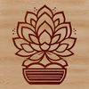 A vector graphic representation of a succulent plant with intricate details and lines.