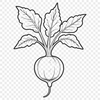 A detailed illustration of a radish root vegetable in outline form.