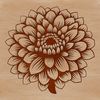 Layered Flower Design SVG A detailed illustration of a single chrysanthemum flower with layered petals in various colors.