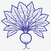 A detailed vector illustration of a single radish root vegetable.