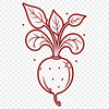Free Cut File for Radish Design Radish illustration for personal or commercial use in various cutting machines.