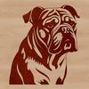 Adorable Bulldog Head Design A detailed illustration of a Bulldog's head, suitable for graphic design projects.