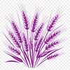 Beautiful Wheat Silhouette SVG File A stylized illustration of wheat in vector format.