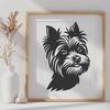 Stunning Yorkshire Terrier - For Vinyl Project