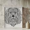 Beautiful Havanese SVG - For Glowforge Project