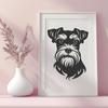 Beautiful Miniature Schnauzer In DXF