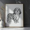 Havanese Drawing In SVG, PNG, PDF And DXF File Formats