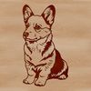 Adorable Digital Welsh Corgi Illustration A digital drawing of a Welsh Corgi sitting on its hind legs as a graphic design element.