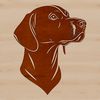 A portrait illustration of a Weimaraner dog breed, suitable for vector art designs.