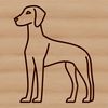 A vector illustration of a standing Weimaraner dog breed.
