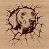 A medium-sized dog breed with a distinctive coat pattern, often depicted as energetic and agile.