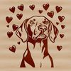 Vector Breed Illustration - Weimaraner Dog A breed-specific dog illustration, featuring a Weimaraner, in vector format.