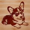 Adorable Welsh Corgi Breed Dog A playful Welsh Corgi breed dog lying on its side.