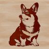 A small to medium-sized dog breed with short legs and a long body, often used as a pet.