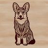 A sitting Welsh Corgi breed dog as a vector graphic illustration.