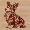 Lovely Sitting Dog Breed A seated Welsh Corgi breed dog sitting on a grassy background.