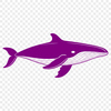 A stylized illustration of a whale in vector format, suitable for commercial use.