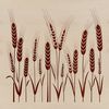 An illustration of a single stalk of wheat in simple vector form.
