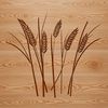 A simple line art illustration of a wheat plant.