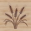 A vector illustration of a single wheat stem with delicate lines and details.