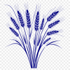 Simple Wheat Vector Illustration A simple vector illustration of a single wheat plant.