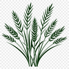 A simple illustration of a wheat plant, suitable for vector graphics and cutting machine designs.