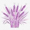 A graphic illustration of a single wheat plant with detailed foliage and grain stalks.