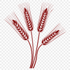 A stylized illustration of wheat grain with smooth lines, suitable for vector art.