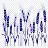 A graphic representation of a wheat stalk in simple silhouette form.