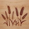 Beautiful Vector Wheat Illustration Wheat plant illustration created in vector format for commercial or personal use.