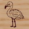 Vibrant Pink Bird in Shallow Water A single flamingo standing in shallow water with its long neck stretched upwards.