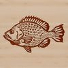 A detailed illustration of a Crappie fish in profile view, suitable for vector graphics and digital design.