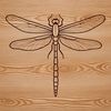 An illustration of a dragonfly in flight, featuring iridescent colors and detailed wings.
