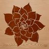 A stylized vector graphic of a desert-dwelling succulent plant.
